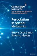 Percolation In Spatial Networks di Bnaya Gross, Shlomo Havlin edito da Cambridge University Press