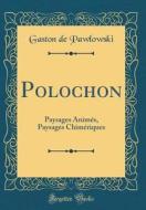 Polochon: Paysages Anim's, Paysages Chim'riques (Classic Reprint) di Gaston de Pawlowski edito da Forgotten Books