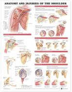 Anatomy And Injuries Of The Shoulder Anatomical Chart di Anatomical Chart Company, Acc, Anatomical Chart Company Acc edito da Anatomical Chart Co.