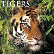 Tigers edito da Willow Creek Press