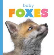 Baby Foxes di Kate Riggs edito da CREATIVE ED & PAPERBACKS