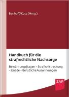 Handbuch für die strafrechtliche Nachsorge edito da ZAP Verlag GmbH