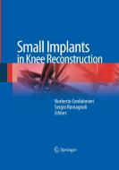 Small Implants in Knee Reconstruction edito da Springer Milan