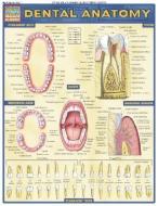 Dental Anatomy edito da Barcharts