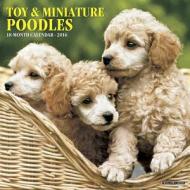 Toy & Miniature Poodles Calendar edito da Willow Creek Press