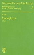 Suwasserflora Von Mitteleuropa, Bd. 03: Xanthophyceae di Hanus Ettl edito da Spektrum Akademischer Verlag