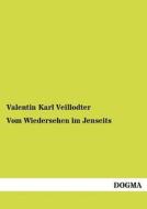 Vom Wiedersehen im Jenseits di Valentin Karl Veillodter edito da DOGMA