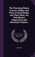The Flowering Plants, Grasses, Sedges, And Ferns Of Great Britain, And Their Allies, The Club Mosses, Pepperworts And Horsetails Volume 1 di Anne Pratt edito da Palala Press