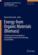 Energy from Organic Materials (Biomass): A Volume in the Encyclopedia of Sustainability Science and Technology, Second E edito da SPRINGER NATURE
