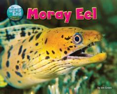 Moray Eel di Jen Green edito da BEARPORT PUB CO INC