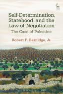 Self-determination, Statehood, And The Law Of Negotiation di Robert P. Barnidge edito da Bloomsbury Publishing Plc