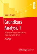 Grundkurs Analysis 1 di Klaus Fritzsche edito da Springer-Verlag GmbH