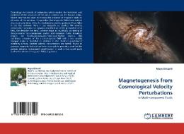Magnetogenesis from Cosmological Velocity Perturbations di Maye Elmardi edito da LAP Lambert Acad. Publ.
