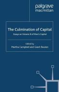 The Culmination of Capital edito da Palgrave Macmillan UK
