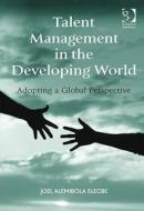 Talent Management in the Developing World di Joel Alemibola Elegbe edito da Taylor & Francis Ltd