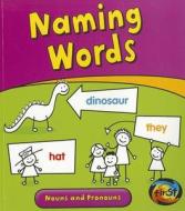 Naming Words: Nouns and Pronouns di Anita Ganeri edito da Heinemann Educational Books