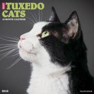 Tuxedo Cats Calendar edito da Willow Creek Press
