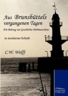 Aus Brunsbüttels vergangenen Tagen di C. W. Wolff edito da TP Verone Publishing