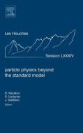 Particle Physics Beyond the Standard Model: Lecture Notes of the Les Houches Summer School 2005 di Jean Dalibard, Stephane Lavignac, Dmitri Kazakov edito da ELSEVIER SCIENCE & TECHNOLOGY