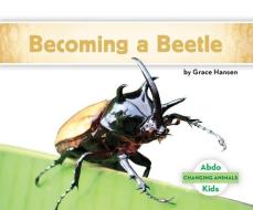 Becoming a Beetle di Grace Hansen edito da ABDO KIDS