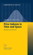 Price Indexes in Time and Space edito da Physica-Verlag HD