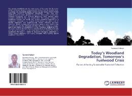 Today's Woodland Degradation, Tomorrow's Fuelwood Crisis di Raymond Aabeyir edito da LAP Lambert Acad. Publ.