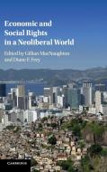 Economic and Social Rights in a Neoliberal             World edito da Cambridge University Press