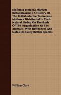 A History Of The British Marine Testaceous Mollusca Distributed In Their Natural Order, On The Basis Of The Organization Of The Animals : With Referen di William Clark edito da Read Books