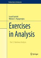 Exercises in Analysis di Leszek Gasinski, Nikolaos S. Papageorgiou edito da Springer-Verlag GmbH