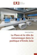 La Place et le rôle du romanesque dans la poétique d'Émile Zola di Assane Faye Ndiaye edito da Editions universitaires europeennes EUE