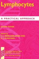 Lymphocytes: A Practical Approach di Sarah L. Rowland-Jones, Andrew J. McMichael, S. L. Rowland-Jones edito da OXFORD UNIV PR