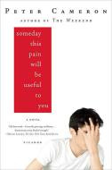 Someday This Pain Will Be Useful to You di Peter Cameron edito da PICADOR