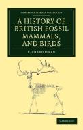 A History of British Fossil Mammals, and Birds di Richard Owen edito da Cambridge University Press