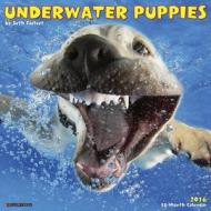 Underwater Puppies Calendar edito da Willow Creek Press