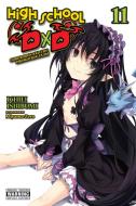 High School DxD, Vol. 11 (light Novel) di Ichiei Ishibumi edito da Yen Press