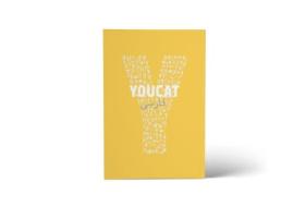 YOUCAT Persisch (Farsi) edito da YOUCAT Foundation