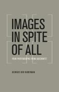 Images in Spite of All di Georges Didi-Huberman edito da The University of Chicago Press