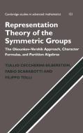Representation Theory of the Symmetric Groups di Tullio Ceccherini-Silberstein, Fabio Scarabotti, Filippo Tolli edito da Cambridge University Press