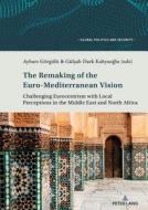 The Remaking of the Euro-Mediterranean Vision edito da Peter Lang