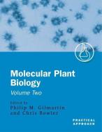Molecular Plant Biology: A Practical Approach Volume 2 edito da OXFORD UNIV PR