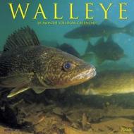 Walleye Calendar edito da Willow Creek Press