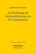 Zur Bedeutung der Horizontalwirkung von EU-Grundrechten di Christopher Unseld edito da Mohr Siebeck GmbH & Co. K