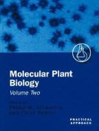 Molecular Plant Biology: A Practical Approach Volume 2 edito da OXFORD UNIV PR