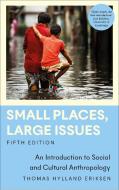 Small Places, Large Issues di Thomas Hylland Eriksen edito da Pluto Press