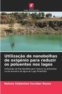 Utilização de nanobolhas de oxigénio para reduzir os poluentes nos lagos di Nelson Sebastian Escobar Reyes edito da Edições Nosso Conhecimento