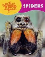 Really Weird Animals: Spiders di Clare Hibbert edito da Hachette Children's Group