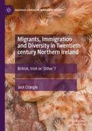 Migrants, Immigration and Diversity in Twentieth-century Northern Ireland di Jack Crangle edito da Springer International Publishing