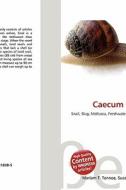 Caecum Continens edito da Betascript Publishing