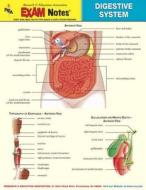 Digestive System Anatomy Exam Notes di Research & Education Association, Exam Notes, The Staff of Rea Good edito da Research & Education Association