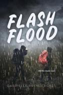 Flash Flood di Gabrielle Prendergast edito da ORCA BOOK PUBL